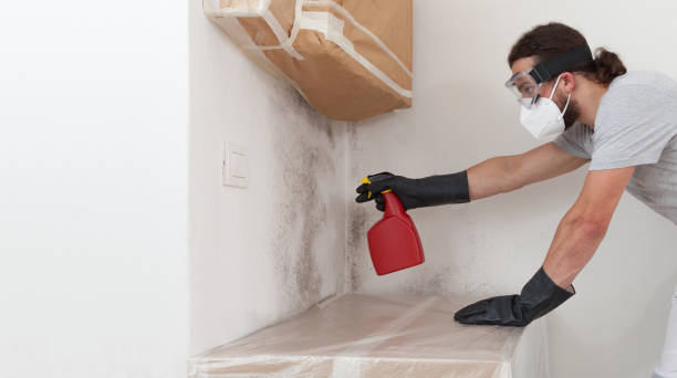 Professional Bathroom Mold Removal technician working in Delaplane, VA