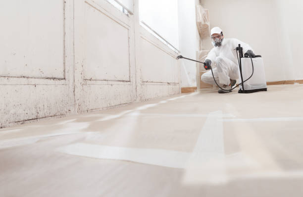 24/7 Emergency Bathroom Mold Removal experts in Delaplane, VA