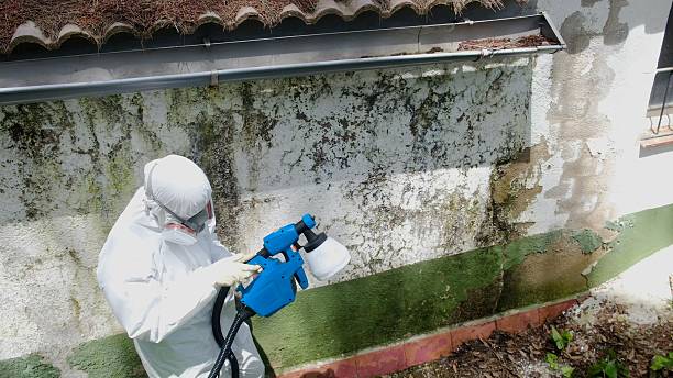 Top rated local Bathroom Mold Removal specialists in Delaplane, VA